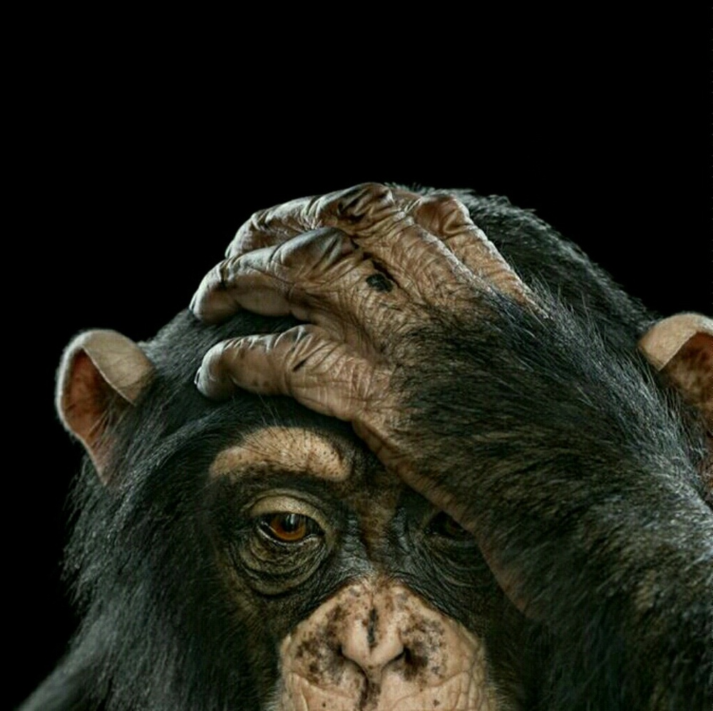 Meet your Posher, Ma